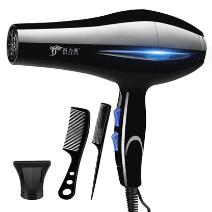 2200W Professional Ionic Hair Dryer